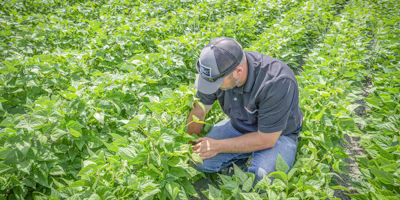 The last mile of agronomy