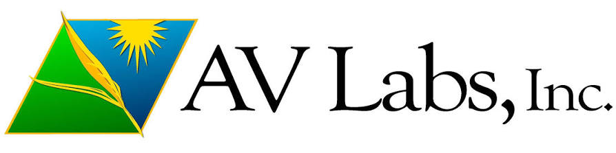 AV Labs Inc