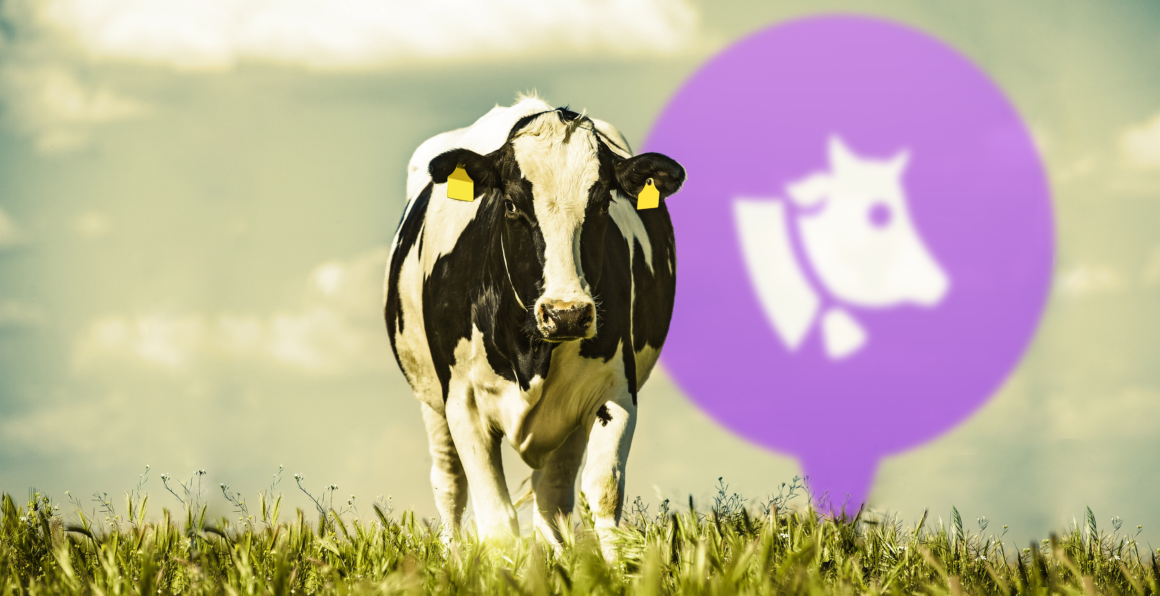 Opening the Agworld ecosystem for mixed farmers