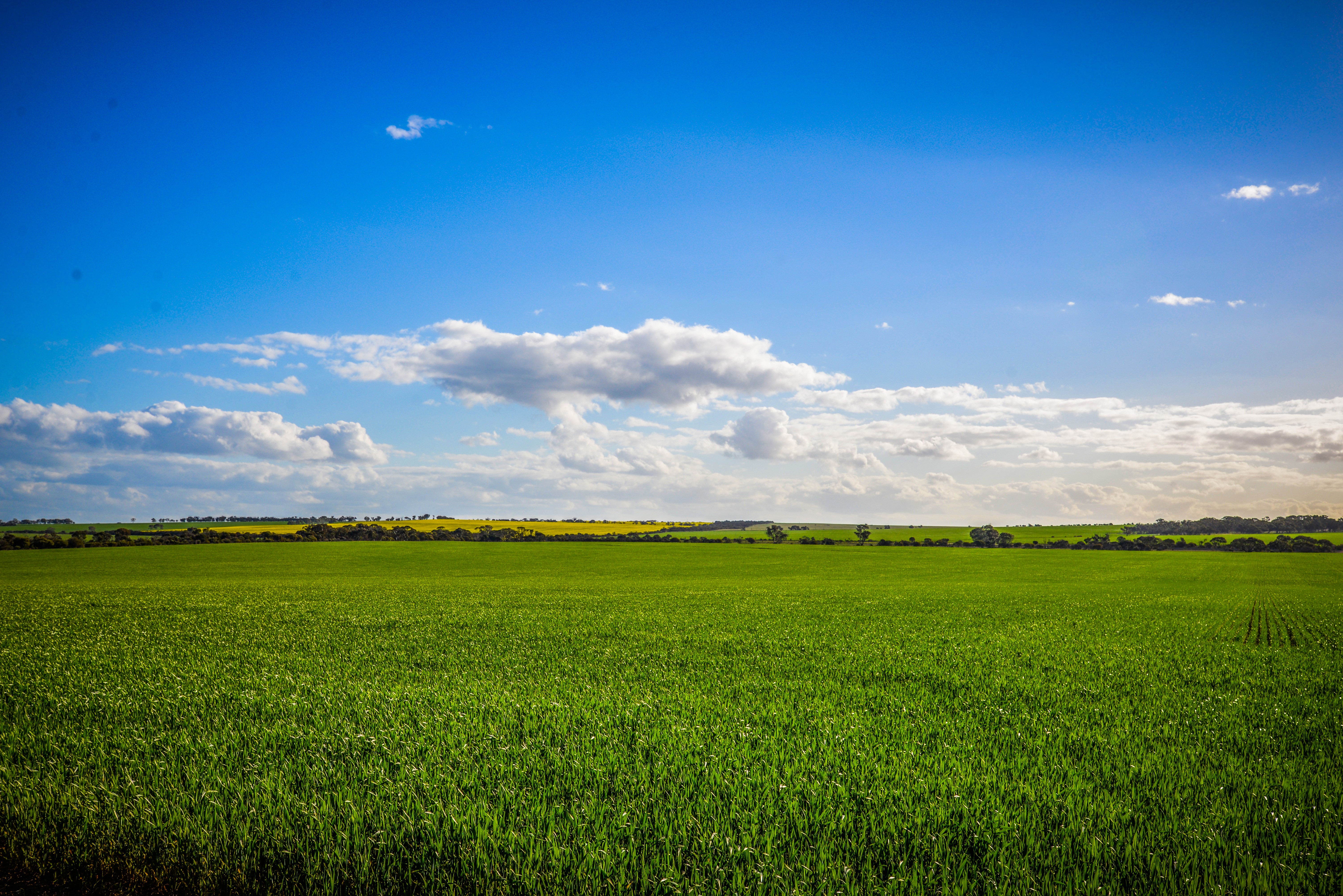 Agworld business continuity