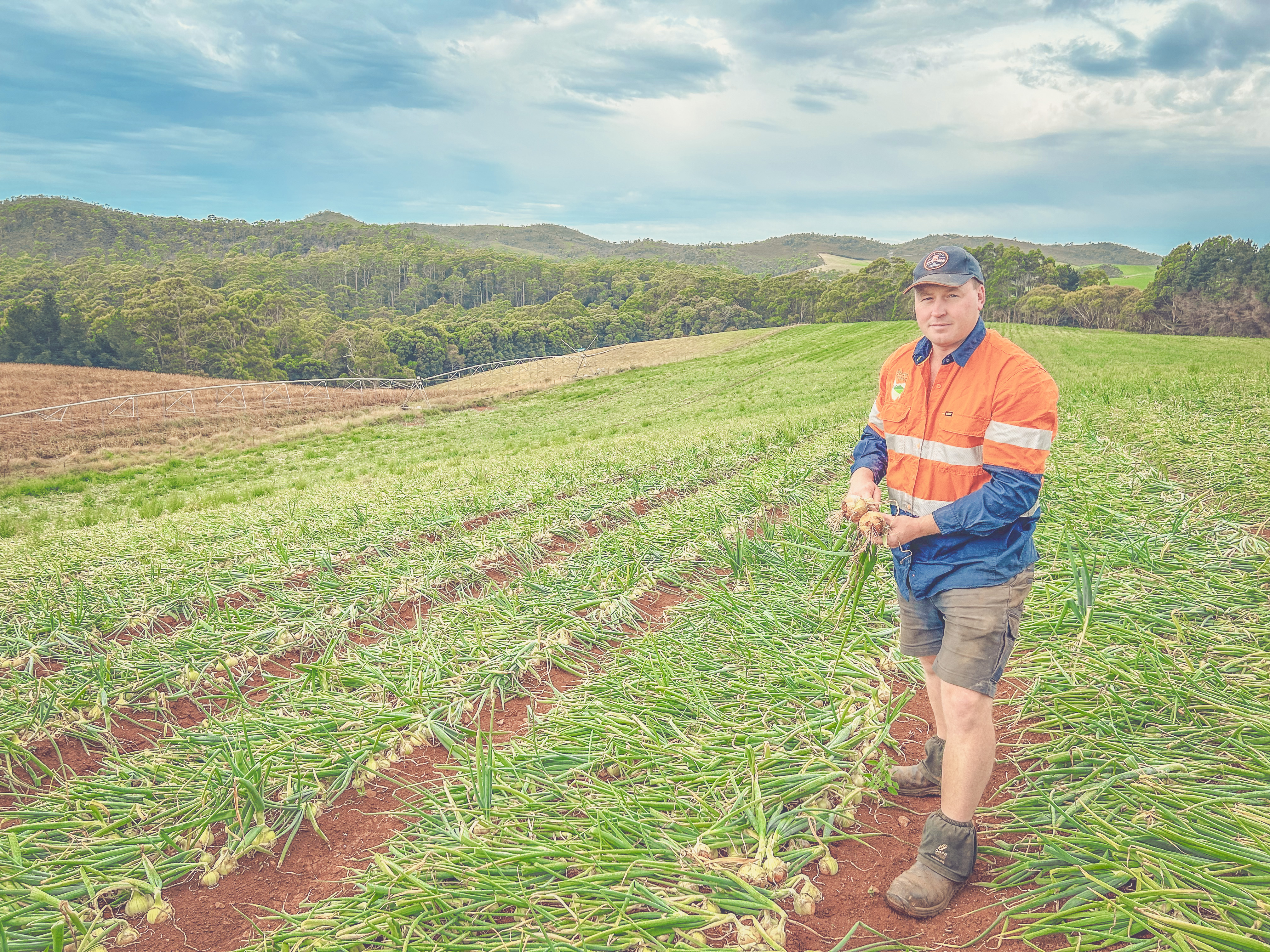 Simplifying your spray schedules