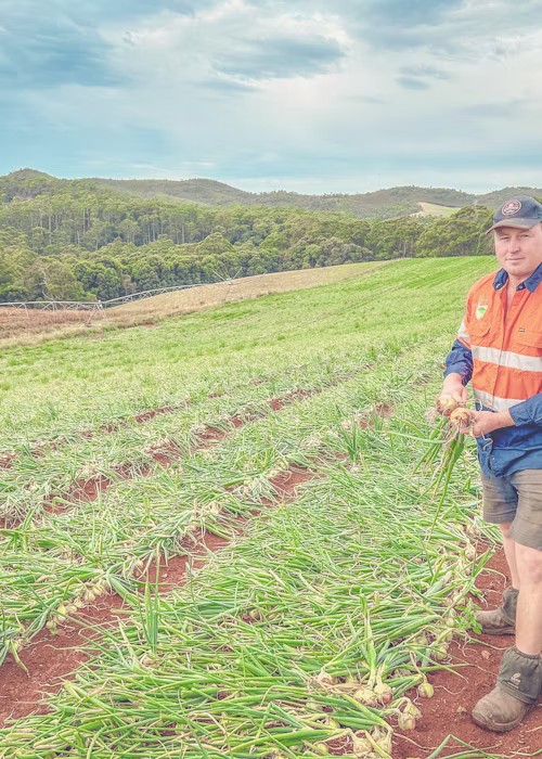 Simplifying your spray schedules