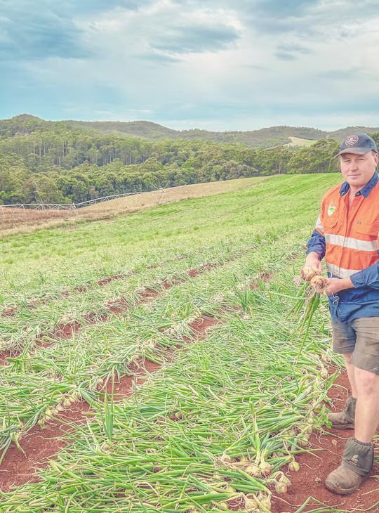 Simplifying your spray schedules