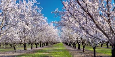 Using On-Farm Data for Decisions that Matter