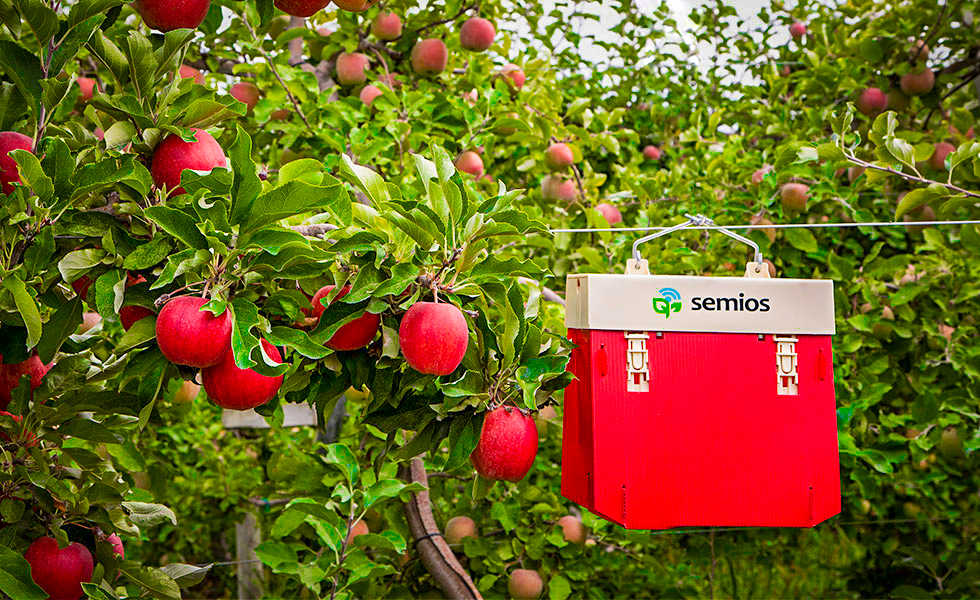 Semios acquires Agworld to form independent global AgTech powerhouse