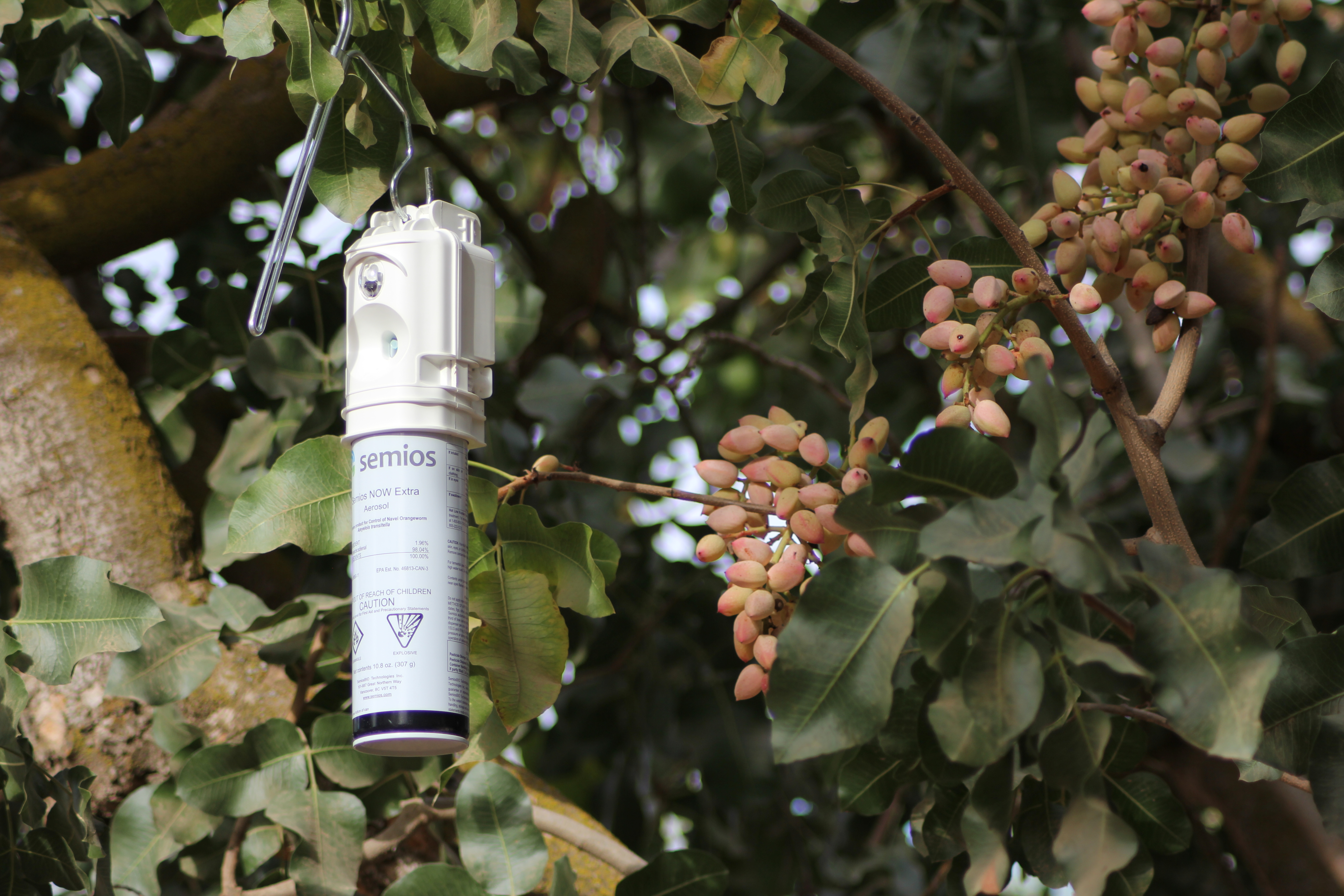 Close up of a Semios mating disruption emitter installed in a pistachio orchard