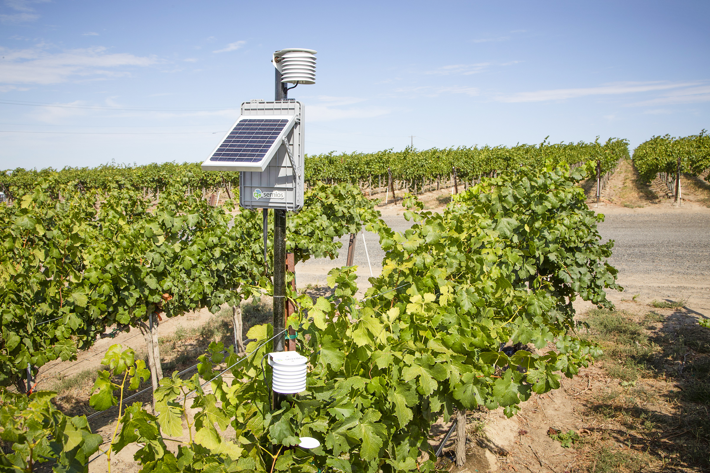 Vancouver Agri-Tech Startup Semios Wins Big at International Awards