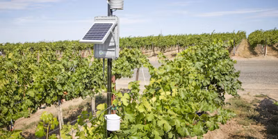 Vancouver Agri-Tech Startup Semios Wins Big at International Awards