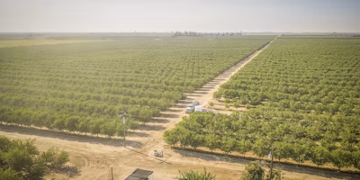 2025 California Pistachio Chill Report